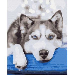 SUPPORTS BIJOUX  Symag Picture Paint it - Waiting Husky - 5904433381154