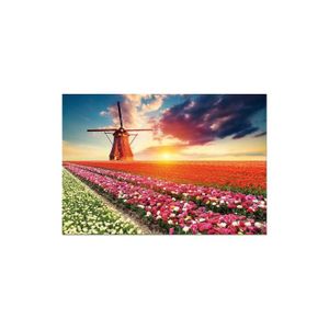 PUZZLE Puzzle Adulte - EDUCA - Pays-Bas : Moulin avec champs de tulipes - 1500 pièces - Collection Pays Hollande