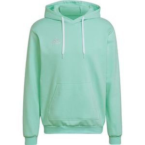 SWEATSHIRT adidas Entrada 22 Sweat Hoodie HC5081, Homme, Vert, pulls molletonnés