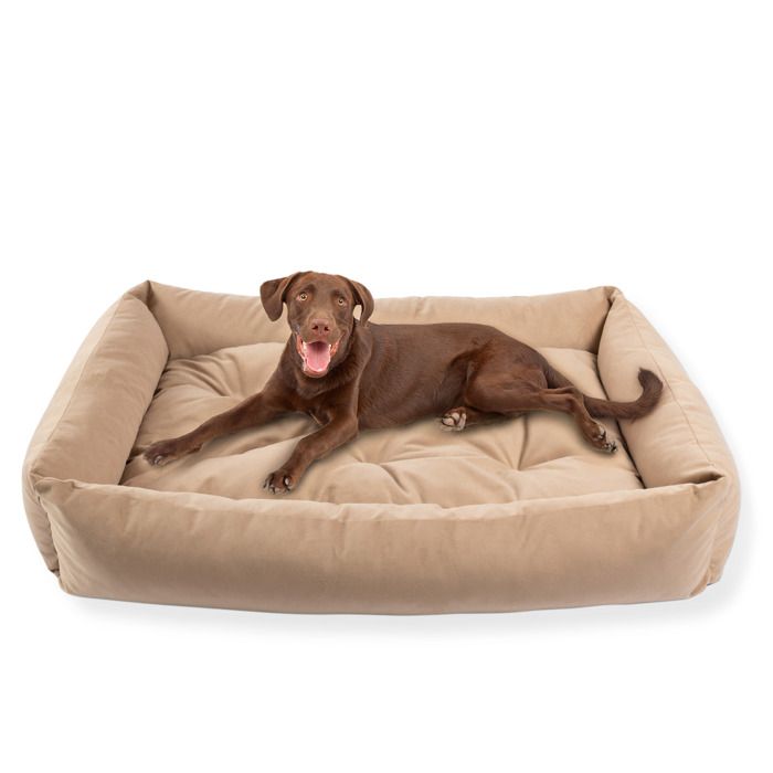 Comparer les prix de Lit pour Chien Panier Coussin Canapé L 120x80 cm Grande Taille Beige Velours Velvet PET ZEN Lavable