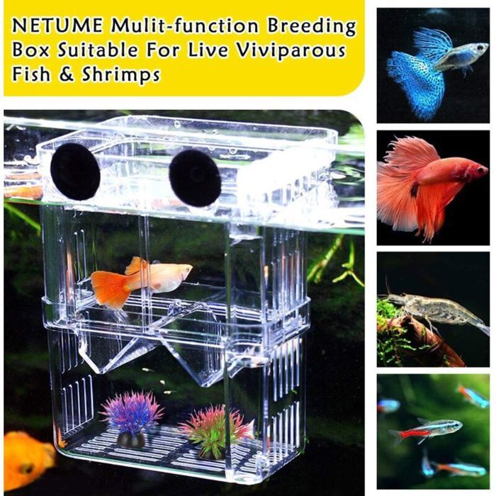 Boîte délevage pour Aquarium Boîte disolation pour Aquarium avec Compartiment Isolant Accessoires pour Petits Poissons crevet