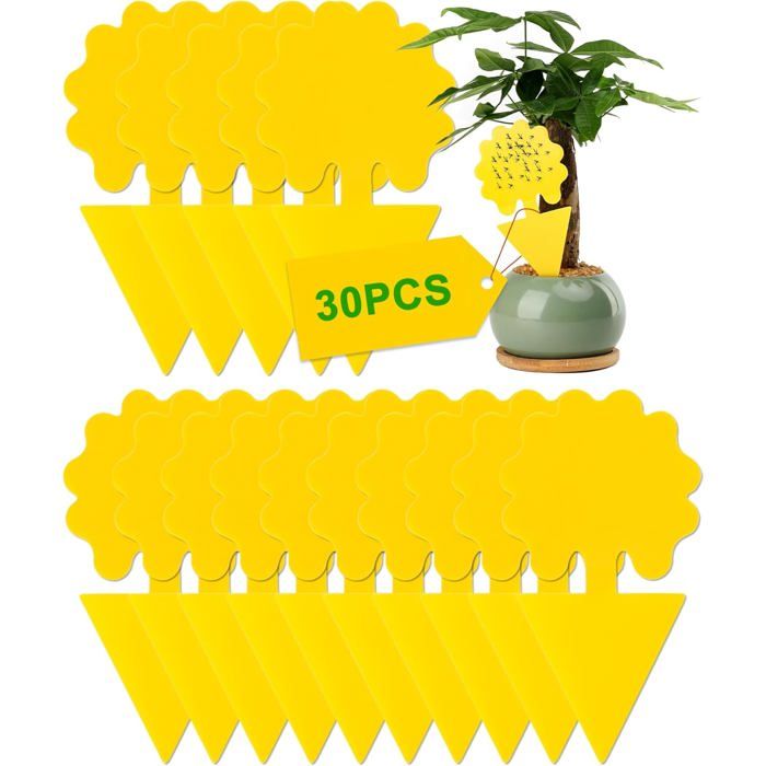 Pièges Autocollants Anti Moucherons - 30 Pièces Double-Face Étanche - Non Toxiques