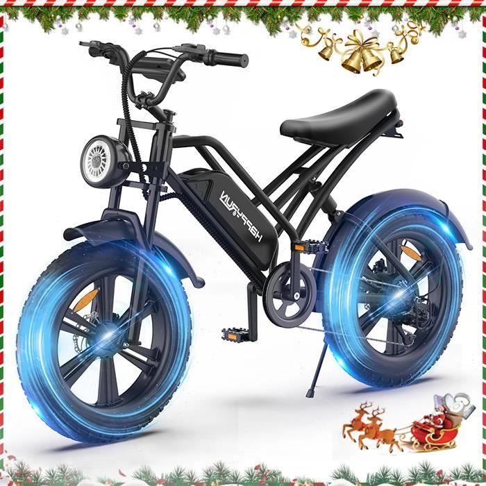 Vélo électrique Happyrun G50 - Pneus 20 pouces - 1500W Moteur - 48V/18AH Batterie - 150kg - Noir
