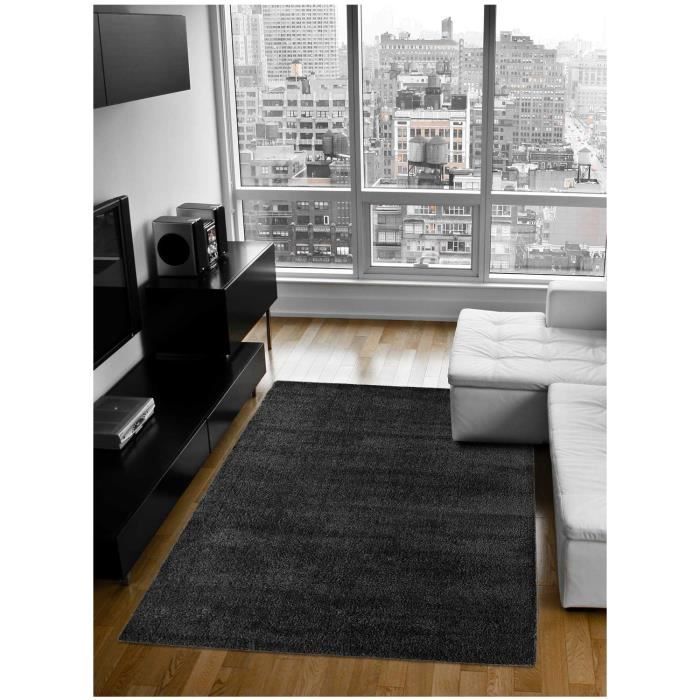 Tapis 160 X 230 Cm Silky Gris Noir Tapis Salon Silky Touch Noir 80x150 Par Dezenco Tapis Moderne Achat Vente Tapis Cdiscount