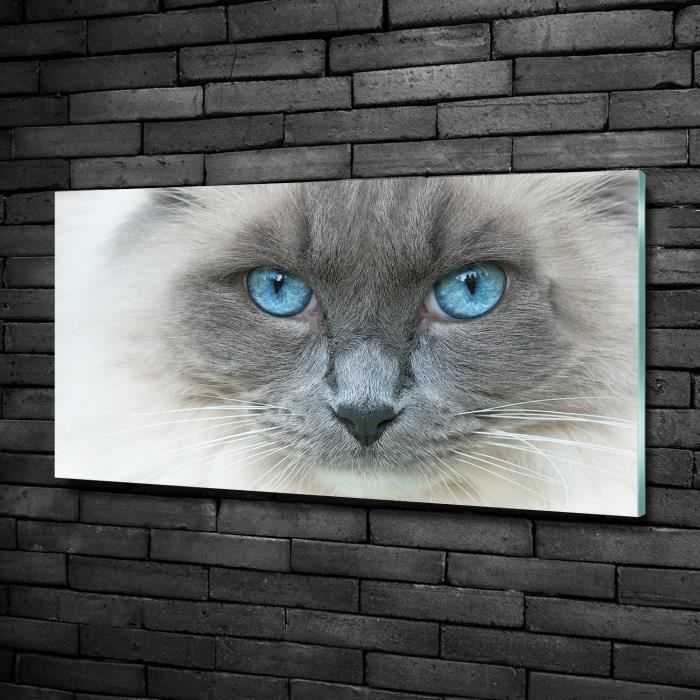 Tulup 100x50cm Tableau Sur Verre De Securite Animaux Chat Aux Yeux Bleus Bleu Cdiscount Maison Tulup 100x50cm Tableau Sur Verre De Securite Animaux Chat Aux Yeux Bleus Bleu Cdiscount Maison