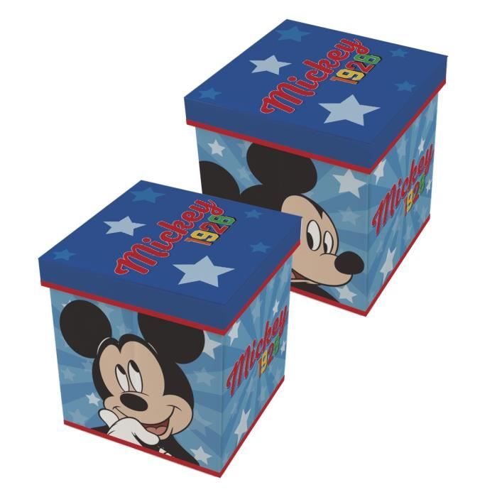 Disney Mickey Mouse Bo/îte de Rangement Pliable