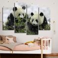 4Pcs Sans Cadre/no frame /decoration murale tableau toile Accueil Art Peinture Peinture murale Canevas à jet d'encre panda-1