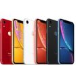 APPLE Iphone Xr 128Go Corail - Reconditionné - Excellent état-2