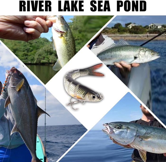 Leurres De Pêche Ryvera 5 Pièces | Appâts Simulation Pour Brochet, Sandre, Perche
