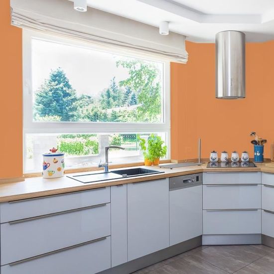 Ripolin Peinture Murale Speciale Cuisine Bain Orange Brule