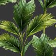 Kailani Feuille Papier Peint Charcoal / Vert Belgravia 59115 - Feuilles de palmier-0