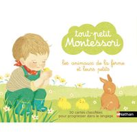 Tout-petit Montessori -  cartes classifiées des an