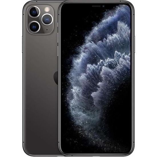 Apple iPhone 11 Pro Max 64Go Gris (Space Grey)