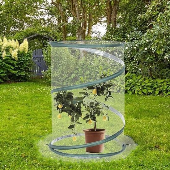 Bio Green Serre D'intérieur Chauffée avec Réservoir d'eau Bio Green Serre D'intérieur Chauffée avec Réservoir d'eau