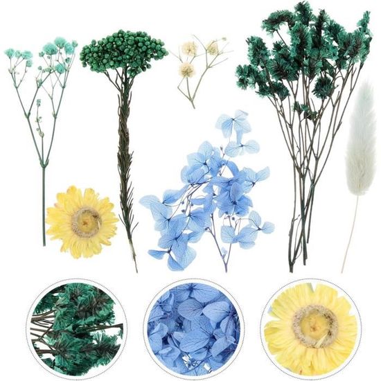 Lot De 25 Trèfles à Quatre Feuilles Séchés Et Pressés - Naturels - Pour DIY, Bijoux, Déco Et Artisanat