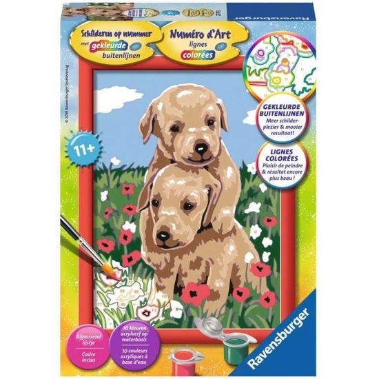 Ravensburger – Numéro D’art Moyen Format – Chaton Dans Le Hamac