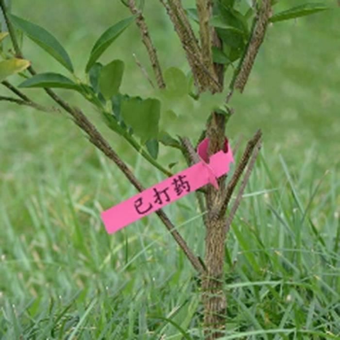 20x Semences étiquettes En Plastique Marqueurs De Jardin étiquettes De 