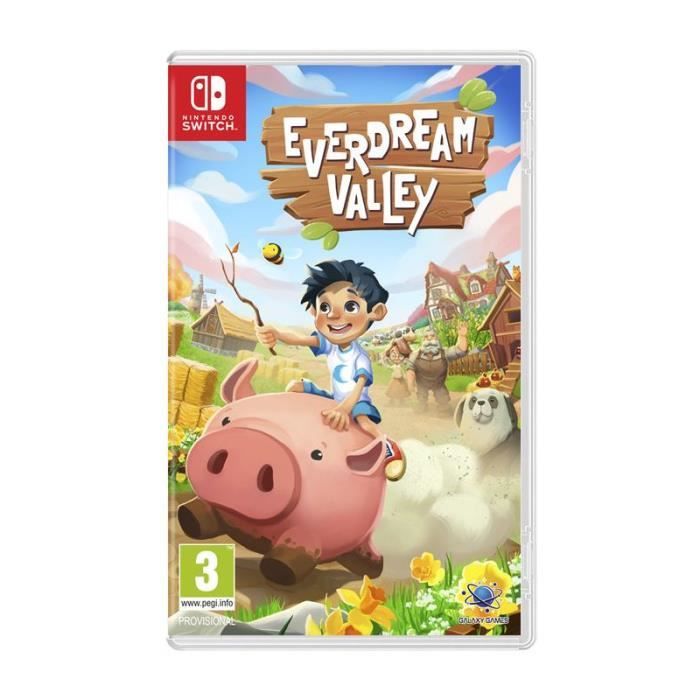 Everdream Valley Nintendo Switch Neuf - vue 5