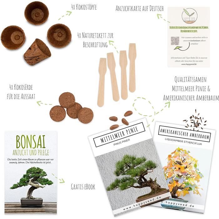 Bonsai Starter Kit avec eBook GRATUIT - Bonzai set avec pots de