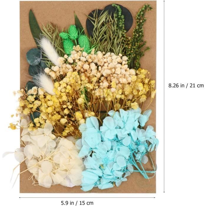 Porte-clés Chat Fleurs Myosotis Pressé : Porte-clés En Résine Fait Main