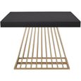 Table extensible à rallonges Solix MENZZO - Bois/Noir - 10 personnes - Pieds design en métal-0