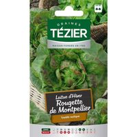 Sachet Graines - Tezier - Laitue d'Hiver Rougette de Montpellier (G.N.) - Sachet légume petit modèle - (Mois de semis de 8 à 9)