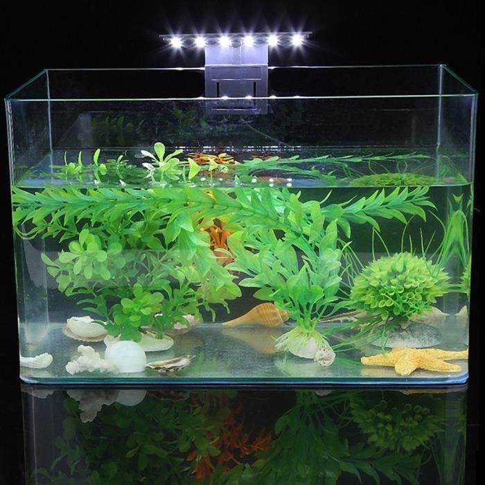 Les lampes étanches à LED pour aquarium à lampe mince étincellent leur éclairage