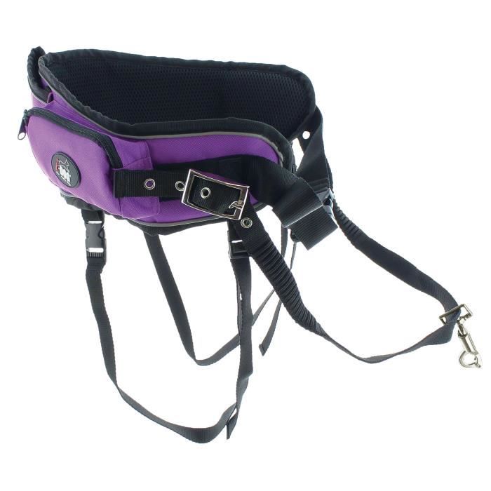 I DOG Ceinture Canicross - Violet et gris - Pour chien