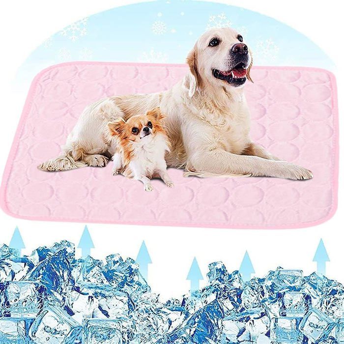 Pawzone Tapis Rafraichissant Chien Pour Chien Chat Animaux De Compagnie