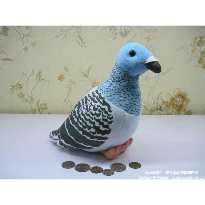 Pigeon - Peluche paresseux à trois doigts de qualité supérieure, 35 cm,  Animal de la vie réelle, Jouet, Pigeo - Cdiscount Jeux - Jouets
