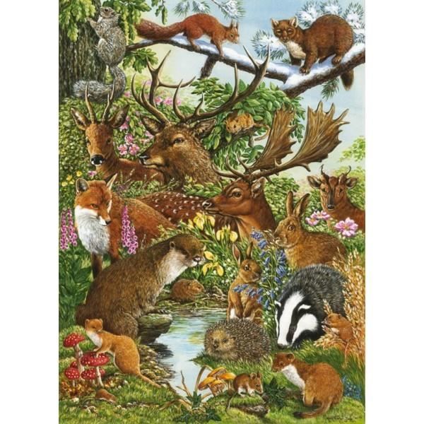 Animaux de la forêt - Puzzle Enfant