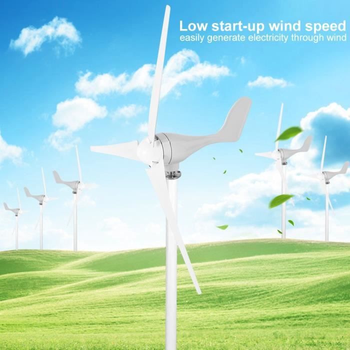 Kit Générateur éolien Sans Balais à Monter - Moteur DC Pour Projets énergie Renouvelable - Alimentation 220V AC