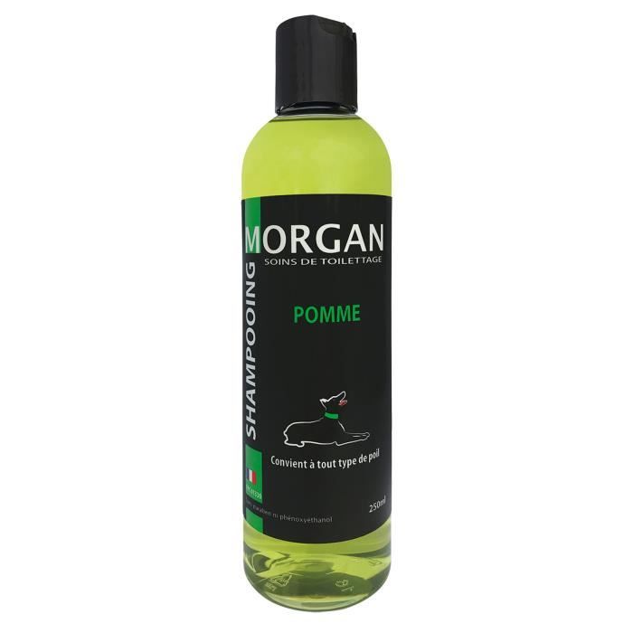 Shampoing protéiné Pomme Morgan : 250 ml - MORGAN Shampoing protéiné Pomme Morgan : 250 ml - MORGAN