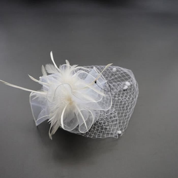 Pince A Cheveux Cocktail Chapeau Bibi Spectacle Chapeau Serre Tete Couvre Chef Vintage Avec Voilette Pour Mariage Banquet Bal Femme Blanc Achat Vente Voile Voilette Cdiscount
