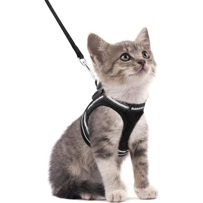 Comparer les prix de Rabbitgoo Harnais Chat Harnais pour chaton/petit chien Harnais Respirant et Bande Réfléchissante réglables -Taille S -Noir