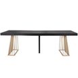 Table extensible à rallonges Solix MENZZO - Bois/Noir - 10 personnes - Pieds design en métal-1