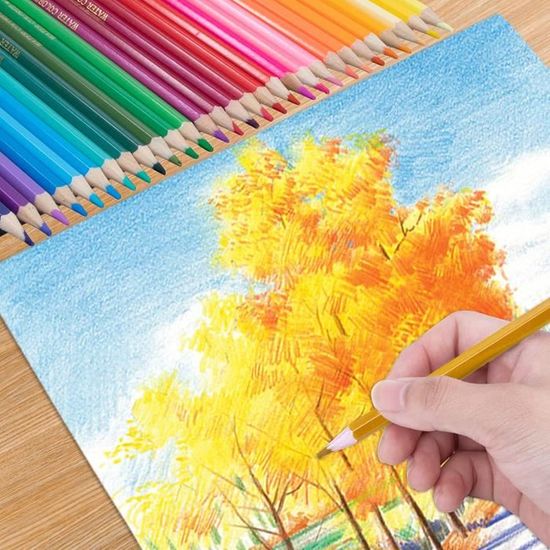Crayon de Couleurs Kit Dessin Professionnel, 48pcs Peinture et Croquis Crayons  de Coloriage Vibrants avec Trousse, Rangement Facile - Cdiscount Beaux-Arts  et Loisirs créatifs