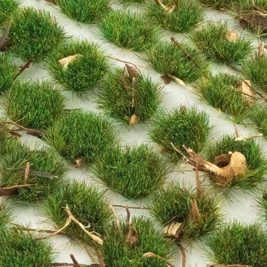 Paysage Miniatures Alpine d’Été, 2 mm Modélisme Ferroviaire wws 2 mm / 4 mm / 6 mm Lot de Touffes et Bandes Autocollantes d’Herbe Statique Décor 