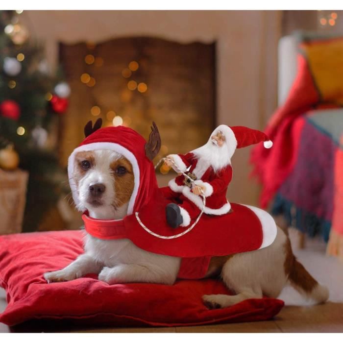 Pull pour chien noel deals