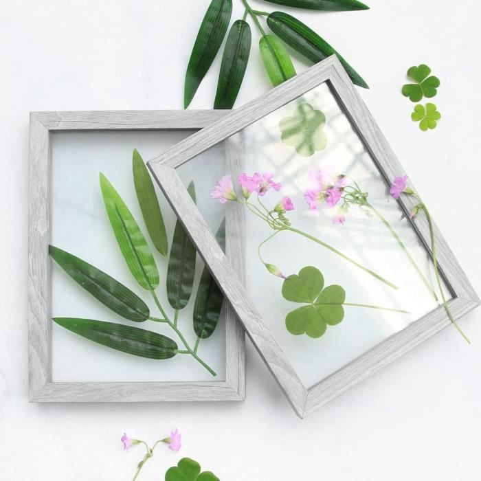 Cadre Photo De Fleurs Séchées - COLAXI - Boîte D'ombre Double Face