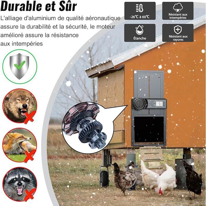 Porte Automatique Poulailler COQSAFE Programmable Écran LCD - Aluminium Anti-Pincement
