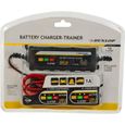 Chargeur de batterie Dunlop Trainer - Voiture et moto - 6-12 VA235-0