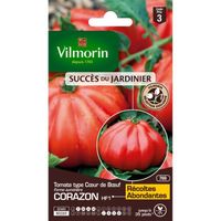 Graines de Tomate Cœur de Bœuf Corazon HF1 - VILMORIN - Résistante aux maladies - Gros fruits charnus