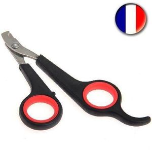 Coupe Griffe Chat Cdiscount