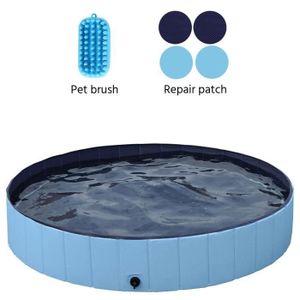Coque Piscine Pour Chien