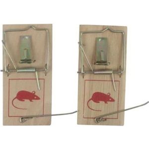 Aspectek Piège à souris, piège à rats sans cruauté, piège à rats  réutilisable et facile à installer, pièges à souris et rongeurs, protecteur  d'animaux domestiques, le meilleur attrape-souris, lot de 6 