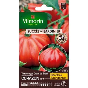 GRAINE - SEMENCE Graines de Tomate Cœur de Bœuf Corazon HF1 - VILMO