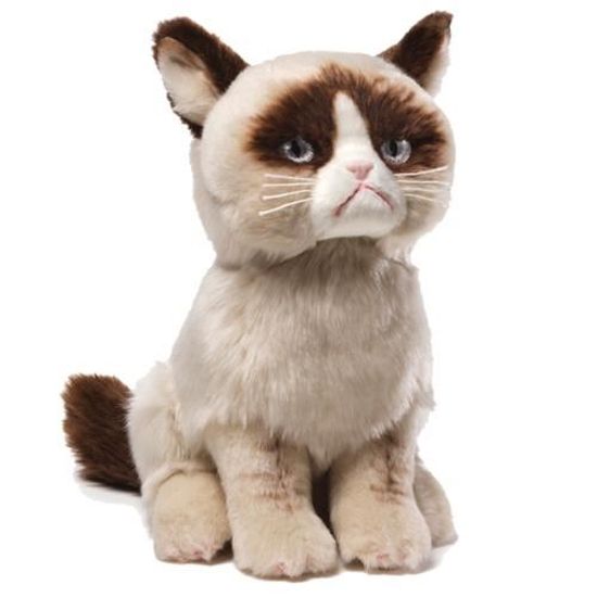 Peluche Chat Grognon Cdiscount Jeux Jouets