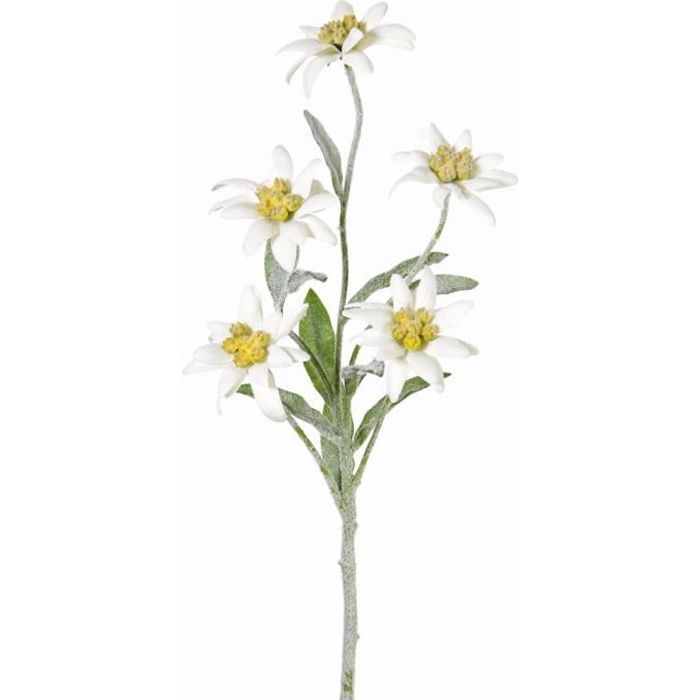 Edelweiss artificielle SOPHIA avec 5 fleurs, blanc, 40 cm - Fleur artificielle - Fausse fleur - artplants
