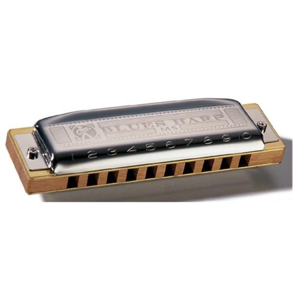 HARMONICA BLUES EN SI MAJEUR 10 COMPARTIMENT DIATONIQUE